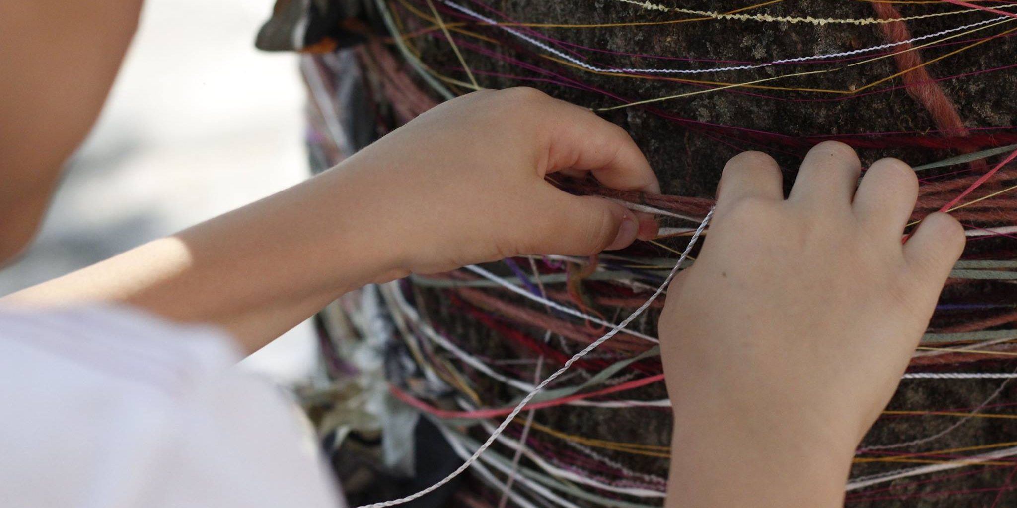 13603418_531757983697566_8887484578640155701_o